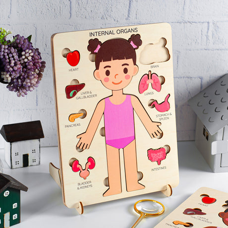 Body Parts Toys for Kids: Learn About the Human Body - FistikPuzzles