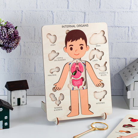 Human Body Puzzle, Anatomy Puzzle For Kids, Montessori Educational Puzzle - FistikPuzzles