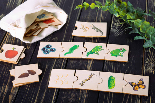 Frog Life Cycle, Wooden puzzle, Toddler puzzles jigsaw, Montesssori Biology - FistikPuzzles